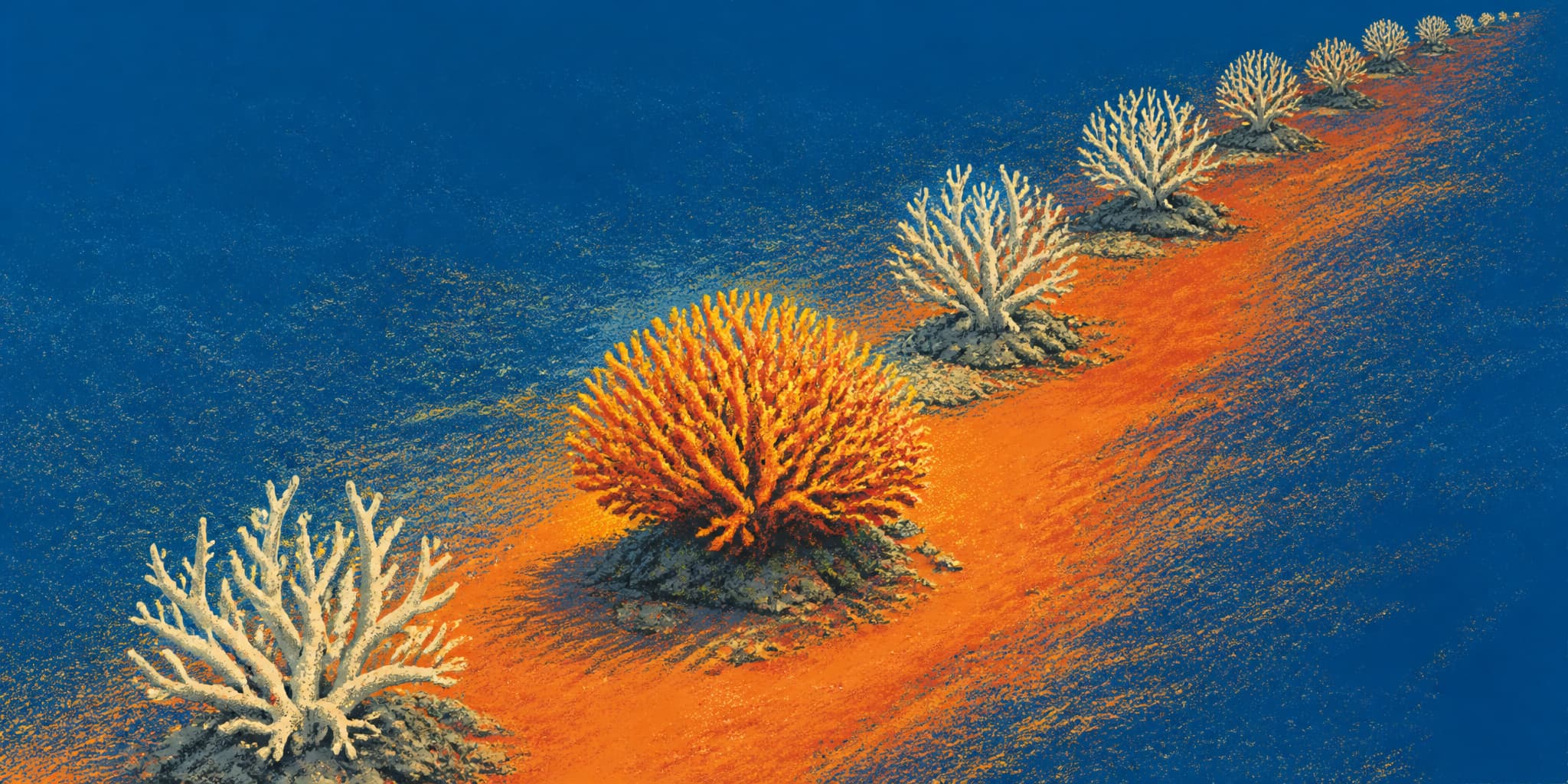 The Reef the Bleaching Metric Missed