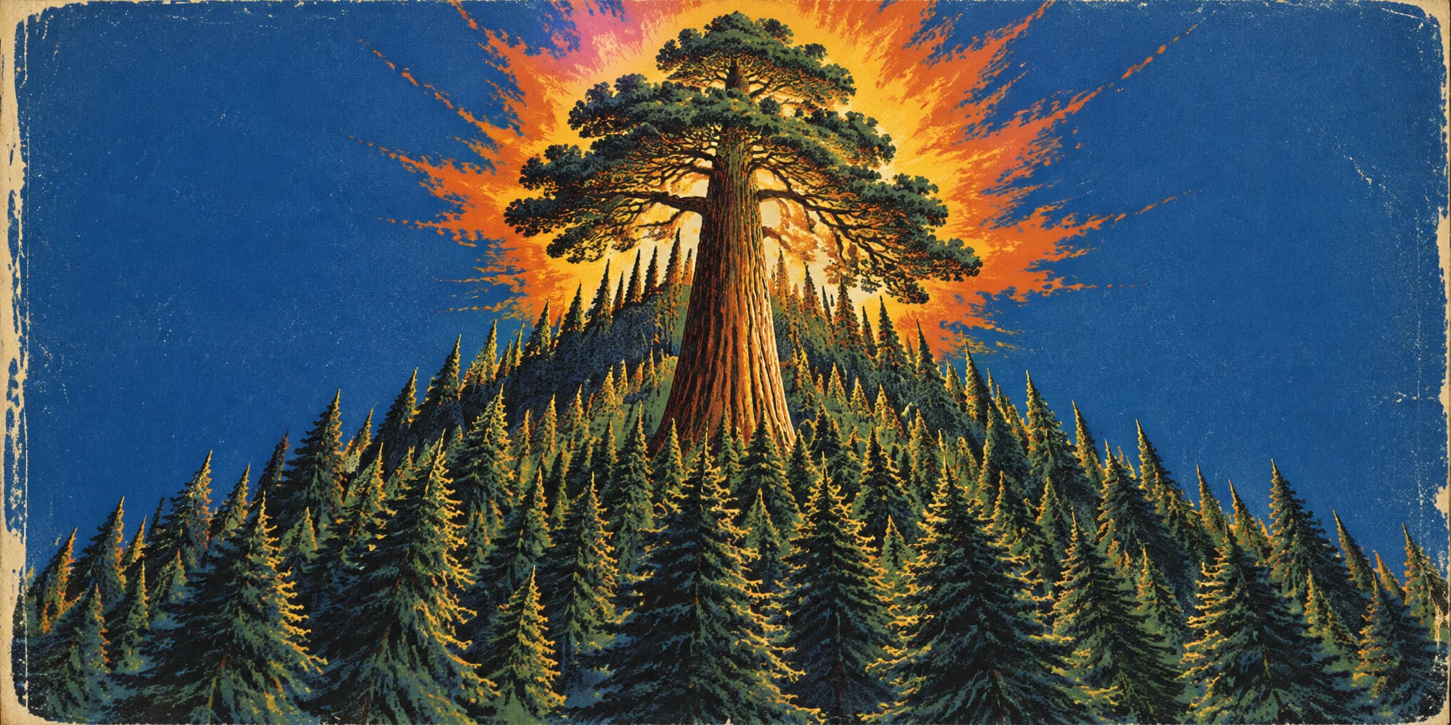 The Forest That Filled Itself In